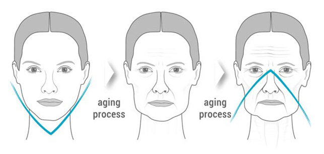 L'ovale du visage