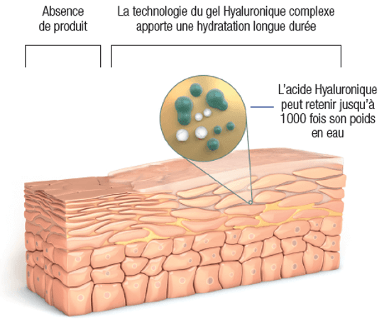 Acide Hyaluronique Schéma